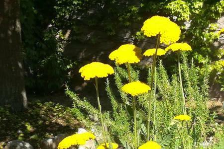 B&B Villaggio Sole Sulmona Eksteriør bilde